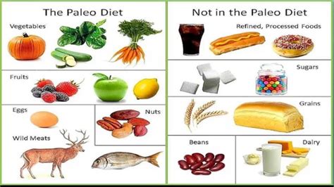 nutrition exam 2 quizlet|nutrition exam 2 practice test.